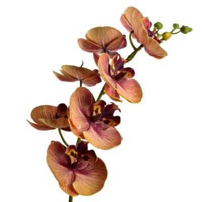 Kwiat sztuczny VIRIDIS, storczyk, 85 cm