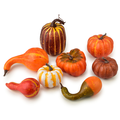 Pumpkin set MAVE in net, mixed, 8 pieces