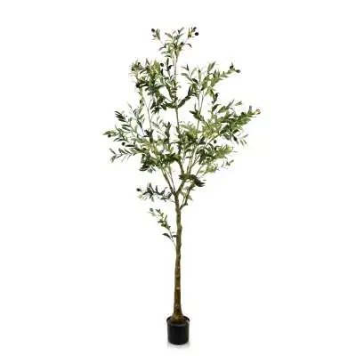 OLIVES Mākslīgais zieds h: 180cm